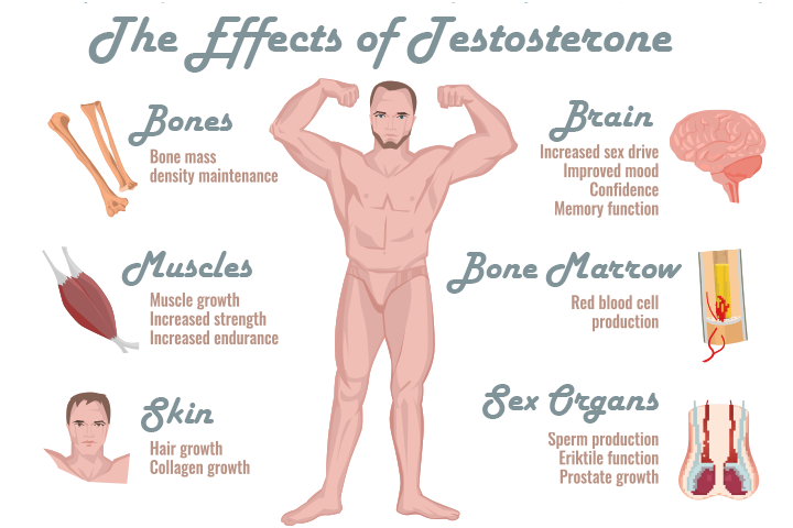 Understanding Andractim and Its Impact on Testosterone Levels