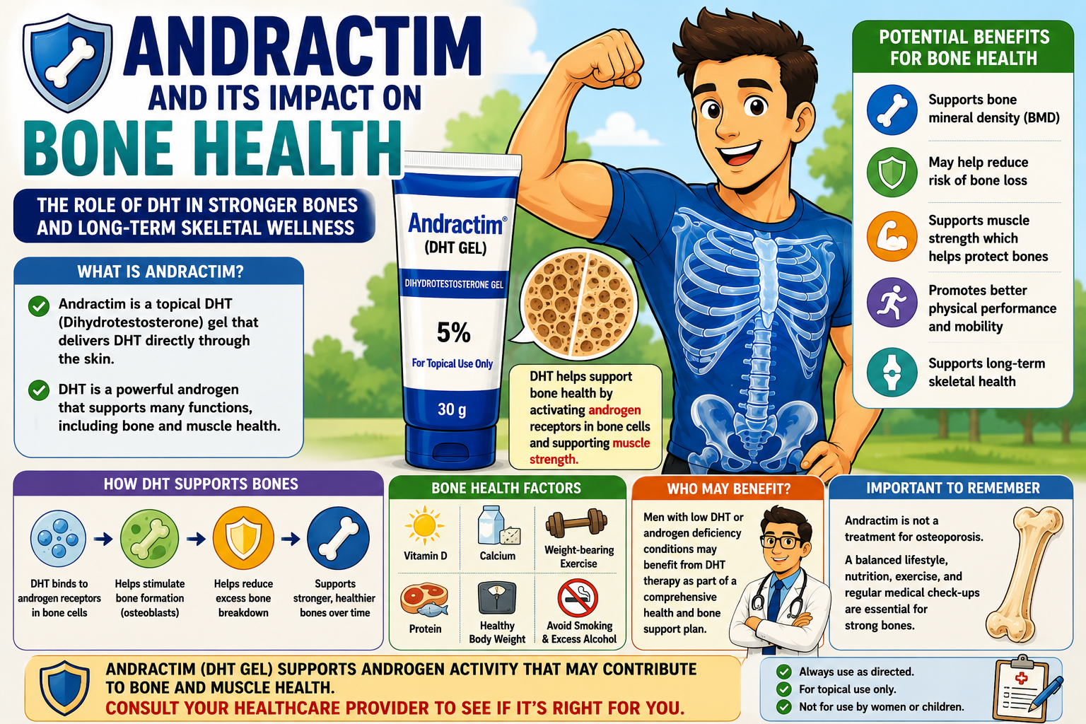 andractim and its impact on bone health
