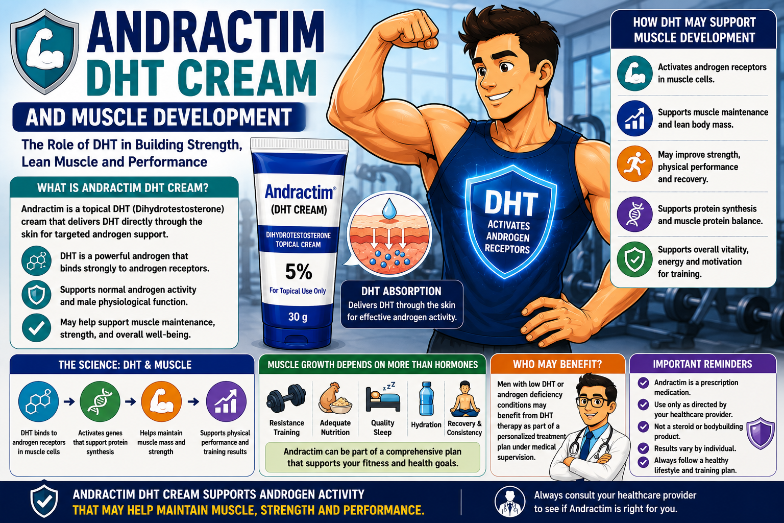 andractim dht cream and muscle development